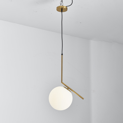 Decorative Single Head Led Pendant Ceiling Lights For Hotel / Home