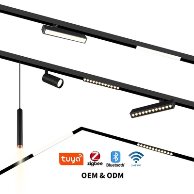 Intelligent 220V High Voltage Linear Flood Light LED Living Room Magnetic Light